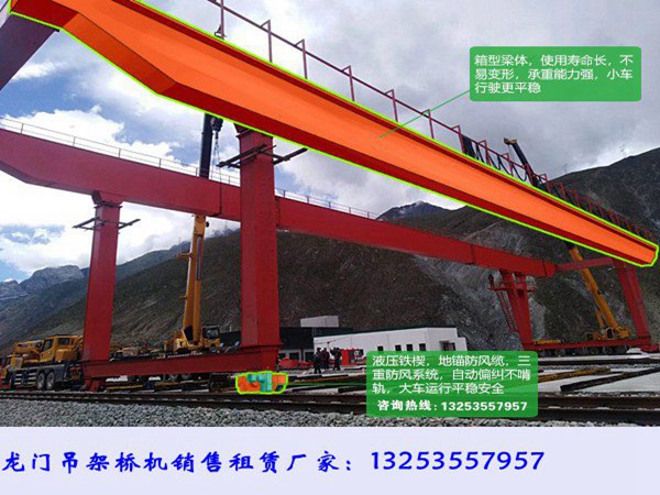 廣東清遠集裝箱門式起重機負載能力